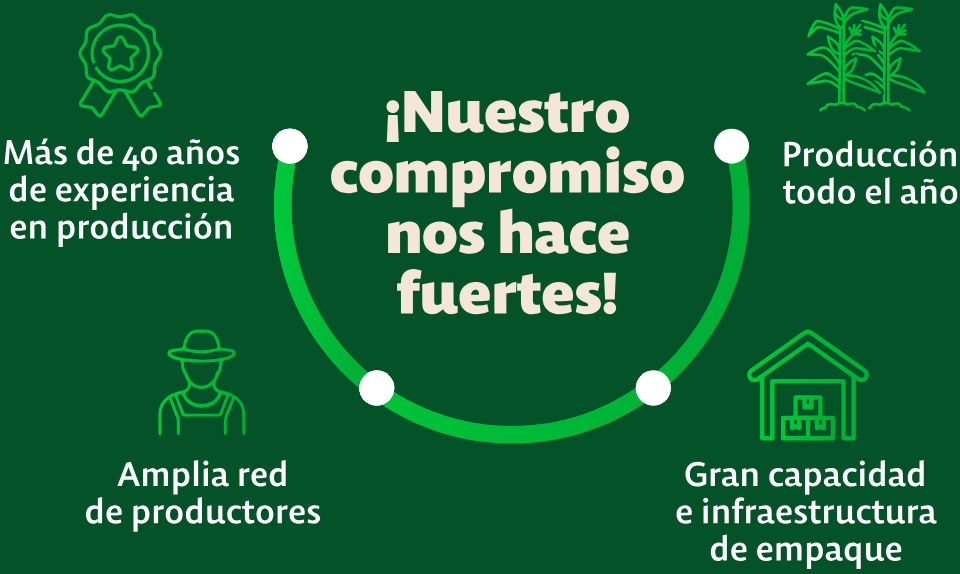 nuestra img